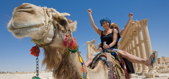 Camel Ride in Luxor Egypt