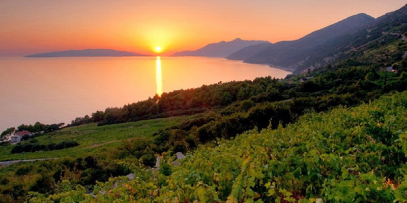 Croatia wine tours