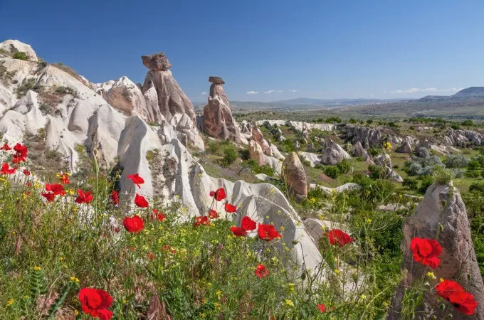 Turkey tours