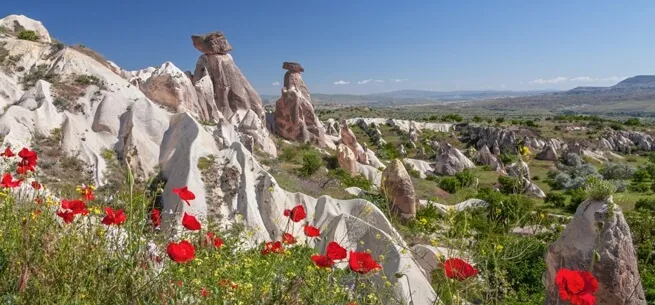 Fairy Chimneys Poppies