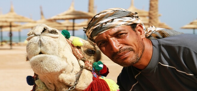 Egypt camel owner