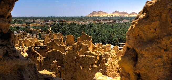 View over Siwa Oasis