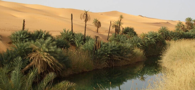 Siwa Oasis safari Egypt