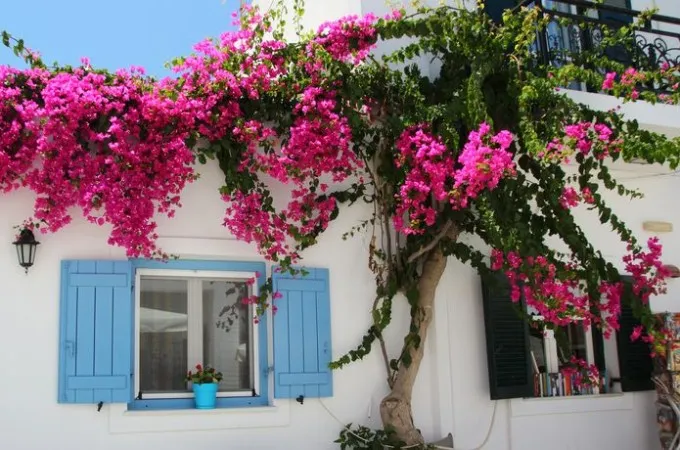 Athens with Mykonos, Paros & Santorini