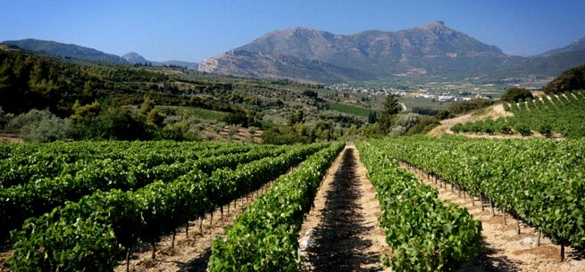 Nemea wine tours greece