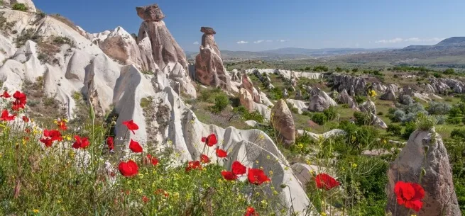 Fairy Chimneys Poppies